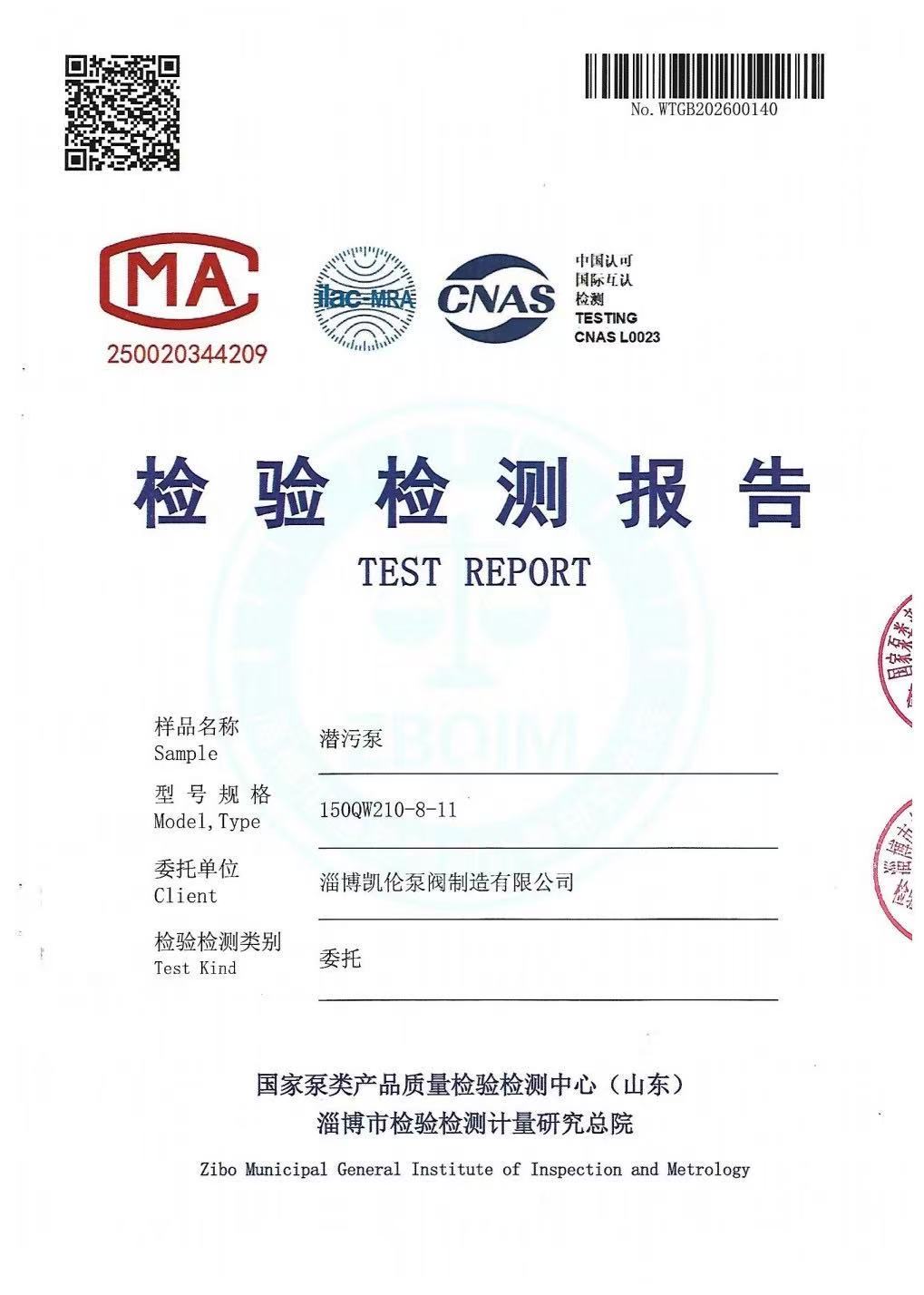 潜污泵检测报告